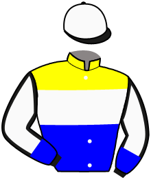 casaque portée par Lebourgeois Y. jockey du cheval de course ELVIS DU VALLON, information pmu ZETURF