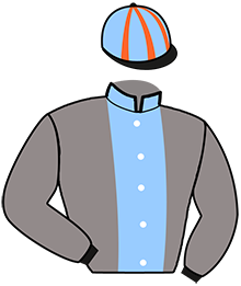 casaque portée par Bonne D. jockey du cheval de course KIARA DE VANDEL, information pmu ZETURF