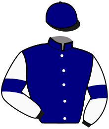 casaque portée par Lenoir A. jockey du cheval de course FALCO DES ROCHERS, information pmu ZETURF