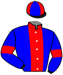 casaque portée par Le Beller T. jockey du cheval de course FELICITA D'ECOUVES, information pmu ZETURF
