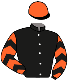 casaque portée par Boutin Hug. jockey du cheval de course FOU FURIEUX, information pmu ZETURF