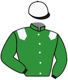 casaque portée par Bachelot T. jockey du cheval de course IT'S CHICO TIME, information pmu ZETURF