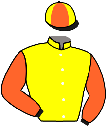 casaque portée par Valle Skar Mlle F. jockey du cheval de course LEOPARDUCCIO, information pmu ZETURF