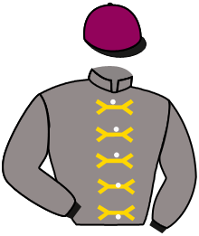 casaque portée par Soumillon C. jockey du cheval de course STUPEFIANTE, information pmu ZETURF