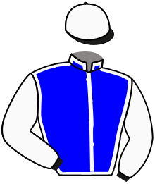 casaque portée par Guyon M. jockey du cheval de course WAVE, information pmu ZETURF