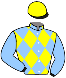 casaque portée par Guyon M. jockey du cheval de course NOTA BENE, information pmu ZETURF