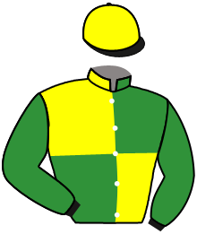 casaque portée par Piccone T. jockey du cheval de course REMBRAND TO GO, information pmu ZETURF