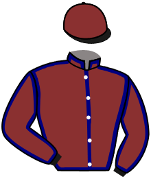 casaque portée par Barzalona M. jockey du cheval de course WIT, information pmu ZETURF