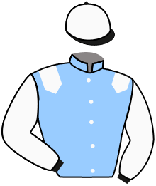 casaque portée par Barzalona M. jockey du cheval de course GREY TORNADO, information pmu ZETURF