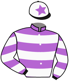 casaque portée par Guyon M. jockey du cheval de course PRINCIPE, information pmu ZETURF