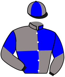 casaque portée par Favriaux Mal. jockey du cheval de course OPALUS ROAD, information pmu ZETURF