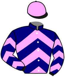 casaque portée par Tison Mlle S. jockey du cheval de course BARGING THRU, information pmu ZETURF