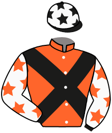 casaque portée par Molins Mme Amb. jockey du cheval de course SAMAPY, information pmu ZETURF