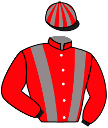 casaque portée par Favriaux Mal. jockey du cheval de course ALCATOSER, information pmu ZETURF