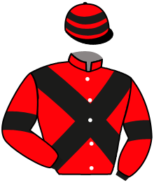casaque portée par Plommee Léo. jockey du cheval de course OPIANA, information pmu ZETURF