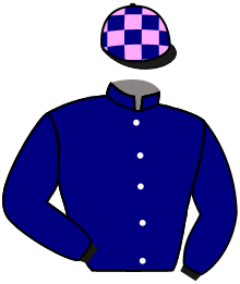 casaque portée par Le Graet Thé. jockey du cheval de course CHIEF MAMBO, information pmu ZETURF