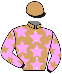 casaque portée par Marie Benj. jockey du cheval de course SUNLIKE, information pmu ZETURF