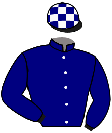 casaque portée par Romary Mlle M. jockey du cheval de course REGALIEN, information pmu ZETURF