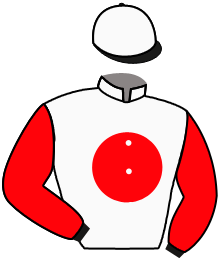 casaque portée par Piccone T. jockey du cheval de course IRISHKAMAYA, information pmu ZETURF