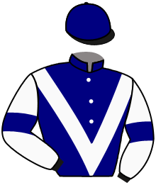 casaque portée par Velon Mlle M. jockey du cheval de course GRAND ANGEL, information pmu ZETURF