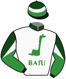 casaque portée par Hardouin E. jockey du cheval de course ELUSIVE FOOT, information pmu ZETURF