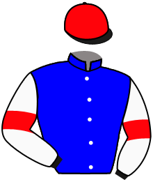 casaque portée par Wolff L. jockey du cheval de course LE RAPIDE, information pmu ZETURF
