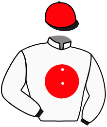 casaque portée par Lecoeuvre C. jockey du cheval de course WAKAI GO, information pmu ZETURF