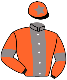 casaque portée par Marien J. jockey du cheval de course D DAY MAN, information pmu ZETURF