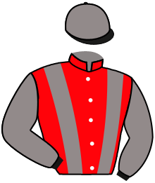 casaque portée par Gallo Mlle L. jockey du cheval de course PINK VALENTINE, information pmu ZETURF
