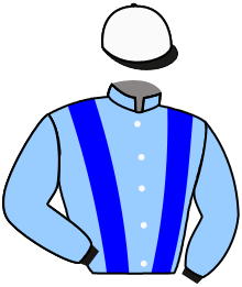 casaque portée par Mendizabal I. jockey du cheval de course THE SHAKING, information pmu ZETURF