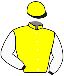 casaque portée par Grandin M. jockey du cheval de course GALIGERA, information pmu ZETURF