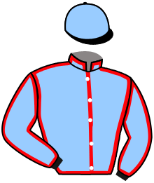 casaque portée par Boutin Hug. jockey du cheval de course MASCULINISTE, information pmu ZETURF