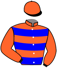 casaque portée par Besnier H. jockey du cheval de course BLANCHE SACREE, information pmu ZETURF