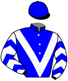 casaque portée par Grandin M. jockey du cheval de course GONEWITHWIND, information pmu ZETURF