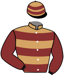 casaque portée par Seguy V. jockey du cheval de course CHARM WRENS, information pmu ZETURF