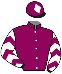 casaque portée par Legras G. jockey du cheval de course PRETTY WARRIOR, information pmu ZETURF