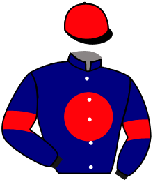 casaque portée par Mendizabal I. jockey du cheval de course GUACARI, information pmu ZETURF