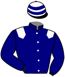 casaque portée par Breux D. jockey du cheval de course TIBERIANA, information pmu ZETURF