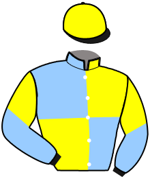 casaque portée par Mourot N. jockey du cheval de course KRISTOF D'OURVILLE, information pmu ZETURF casaque portée par Mourot N. jockey du cheval de course KRISTOF D'OURVILLE, information pmu ZETURF