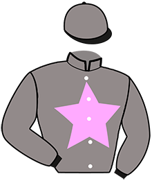 casaque portée par Guelpa J. jockey du cheval de course HAVATAR, information pmu ZETURF