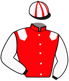 casaque portée par Sorel J. Ch. jockey du cheval de course HOLD OF COMTAL, information pmu ZETURF casaque portée par Sorel J. Ch. jockey du cheval de course HOLD OF COMTAL, information pmu ZETURF
