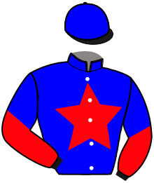 casaque portée par Vimond N. jockey du cheval de course JACINTHE DU GASSEL, information pmu ZETURF