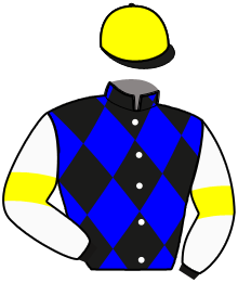 casaque portée par Gergouil Mat. jockey du cheval de course KIWI DE BLAY, information pmu ZETURF casaque portée par Gergouil Mat. jockey du cheval de course KIWI DE BLAY, information pmu ZETURF