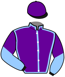 casaque portée par Gergouil Mat. jockey du cheval de course KOLONEL MACKER, information pmu ZETURF