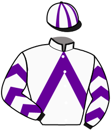 casaque portée par Paillard Mlle M. jockey du cheval de course JAZZY EFFEL, information pmu ZETURF