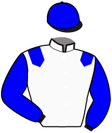 casaque portée par Mottier M. jockey du cheval de course LIO RENKA, information pmu ZETURF
