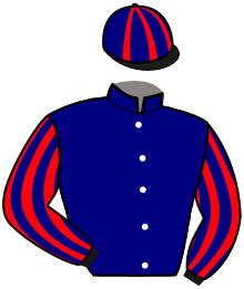 casaque portée par Ploquin Pau. Ph. jockey du cheval de course HOLD UP DU DIGEON, information pmu ZETURF
