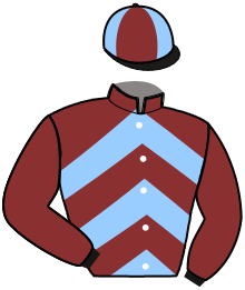 casaque portée par Martin G. jockey du cheval de course GREZ, information pmu ZETURF