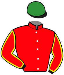 casaque portée par Robin B. jockey du cheval de course HIGH PROPULSION, information pmu ZETURF