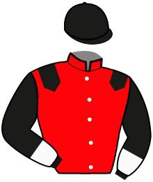 casaque portée par Mottier M. jockey du cheval de course G.K.JUSTUS, information pmu ZETURF
